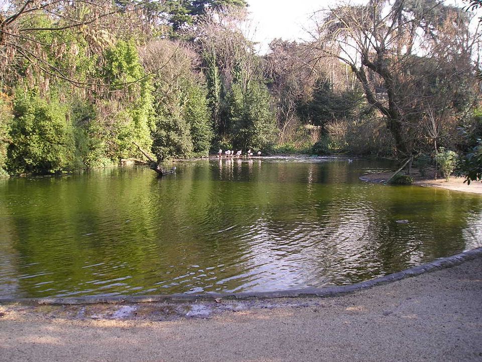 Bioparco di Roma (Rome Zoo) 2/3