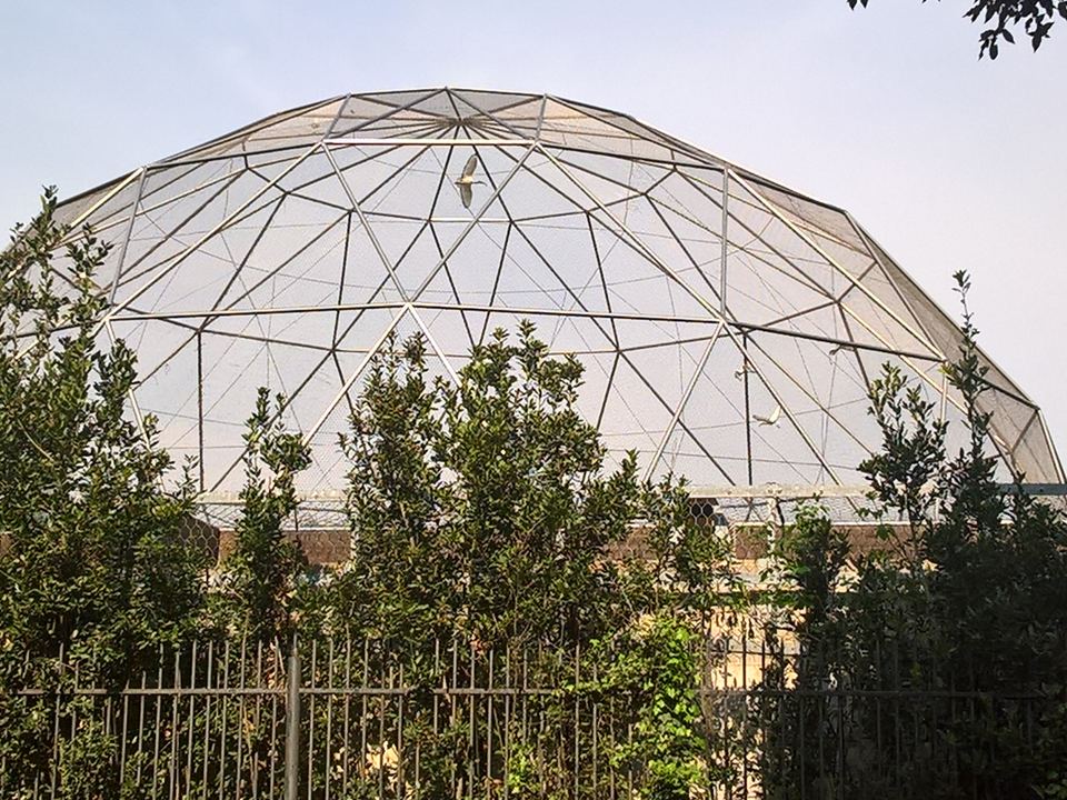 Bioparco di Roma (Rome Zoo) 3/3
